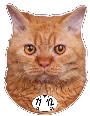 Katt P-skiva 6