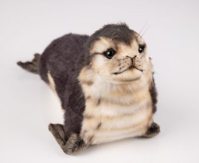 Säl mjukisdjur Seal Monk Baby 30 cm 6803 Hansa