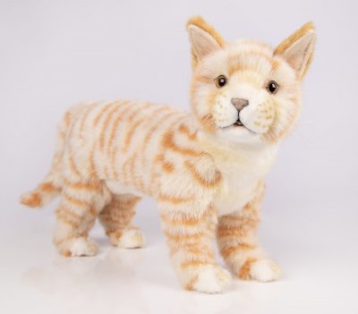 Katt mjukisdjur ginger 25 cm 7178 Hansa