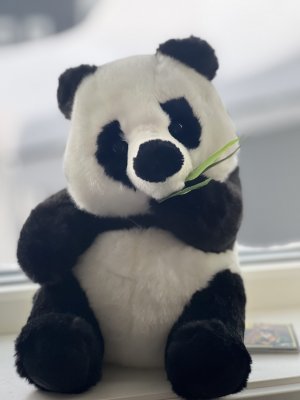 Panda mjukisdjur 27 cm 1723 Hansa