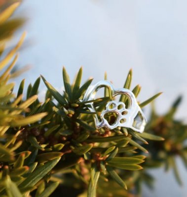 In my heart silverring ALTI