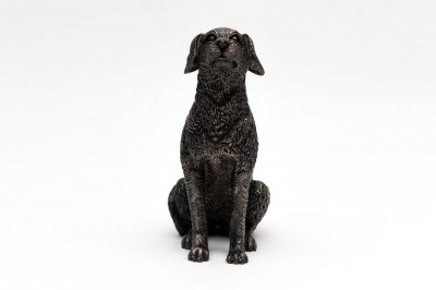 Labrador retriever krukfötter 3-pack