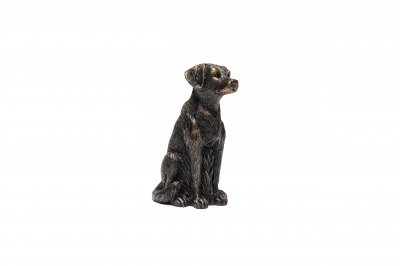 Labrador retriever Cane Companion 1-pack