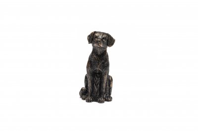 Labrador retriever Cane Companion 1-pack