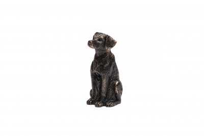 Labrador retriever Cane Companion 1-pack