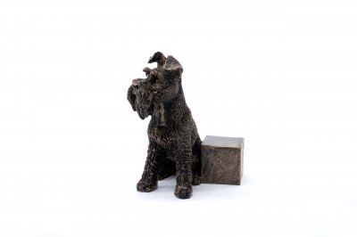 Dvärgschnauzer / Schnauzer krukfötter 3-pack