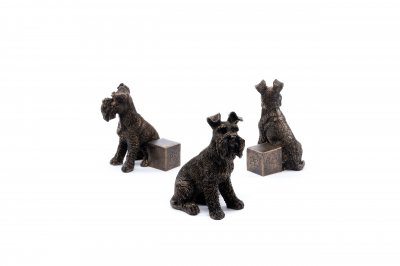 Dvärgschnauzer / Schnauzer krukfötter 3-pack