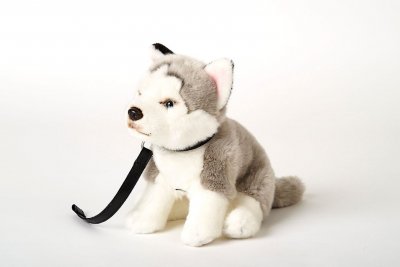 Siberian husky mjukisdjur med koppel 25 cm UNI p