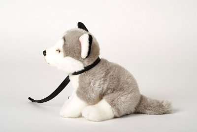 Siberian husky mjukisdjur med koppel 25 cm UNI p