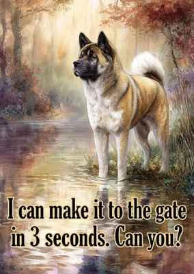American Akita varningsskylt 1 JB