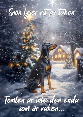 Dobermann varningsskylt jul 1 JB