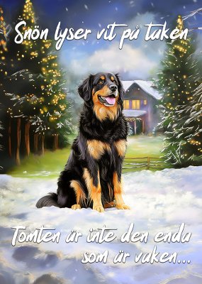 Hovawart varningsskylt jul JB