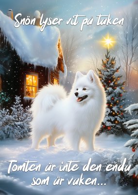 Japansk spets varningsskylt jul 2 JB