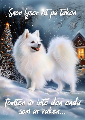 Japansk spets varningsskylt jul 3 JB