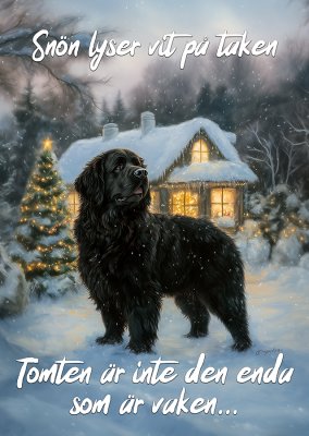 Newfoundlandshund varningsskylt jul 2 JB