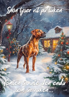 Rhodesian ridgeback varningsskylt jul JB