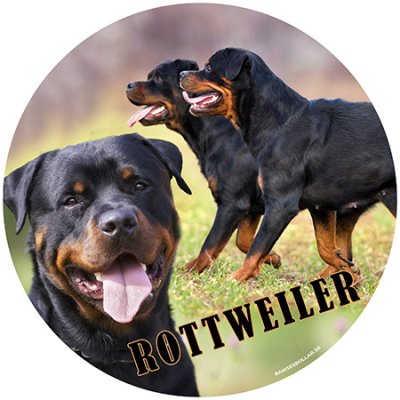 Rottweiler bildekal