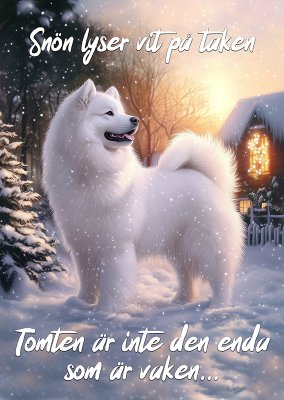 Samojedhund varningsskylt jul 2 JB