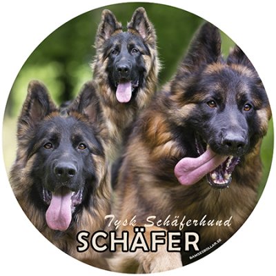 Tysk schäferhund bildekal 4 BB