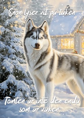 Siberian husky varningsskylt jul 2 JB
