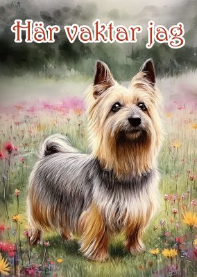 Silky terrier varningsskylt blommor 1 JB