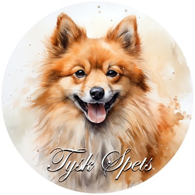 Tysk spets bildekal 2 BB