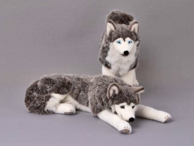 Siberian husky mjukisdjur Kösen