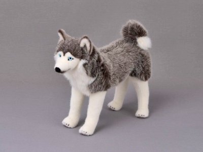 Siberian husky mjukisdjur Kösen