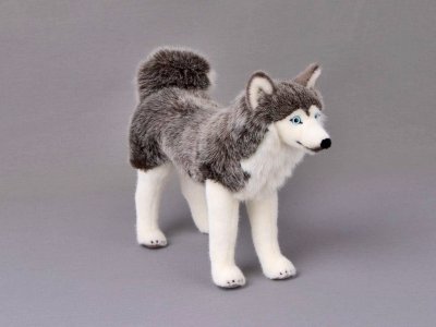 Siberian husky mjukisdjur Kösen