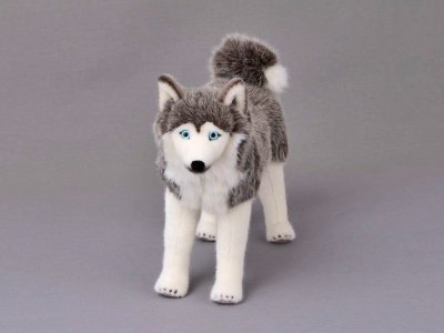 Siberian husky mjukisdjur Kösen