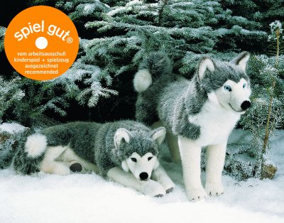 Siberian husky mjukisdjur Kösen