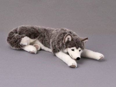 Siberian husky mjukisdjur Kösen