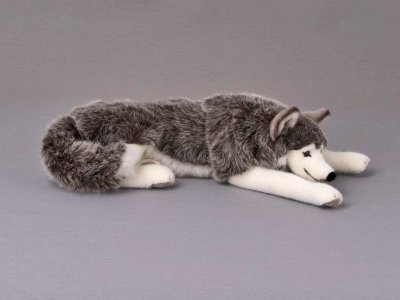 Siberian husky mjukisdjur Kösen