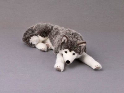 Siberian husky mjukisdjur Kösen