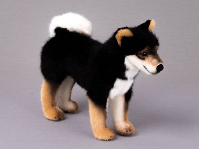 Shiba mjukisdjur Akito Kösen