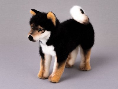 Shiba mjukisdjur Akito Kösen