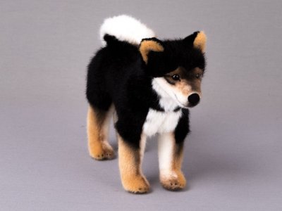 Shiba mjukisdjur Akito Kösen
