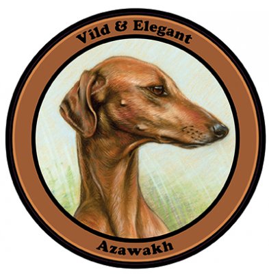 Azawakh bildekal