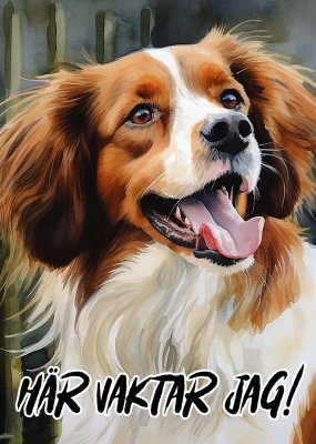 Nederlandse kooikerhondje varningsskylt