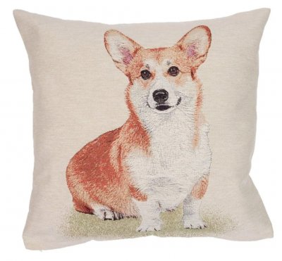 Welsh corgi pembroke kuddfodral