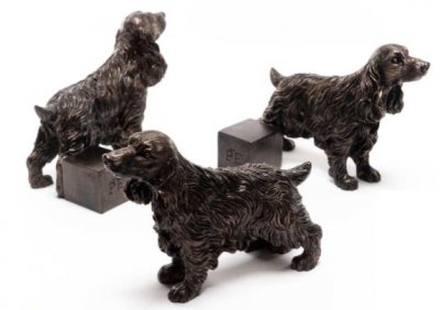 Cocker spaniel krukfötter