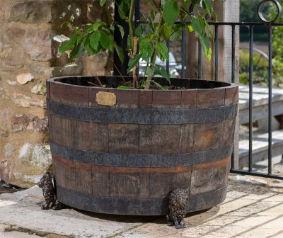 Lejon krukfötter 3-pack