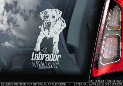 Labrador retriever bildekal