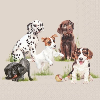 Servetter Playing Puppies Lunch Edelweiss