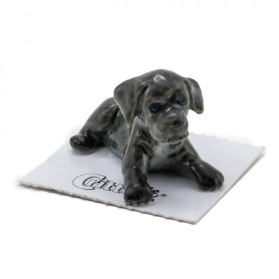 Cane corso porslinshund