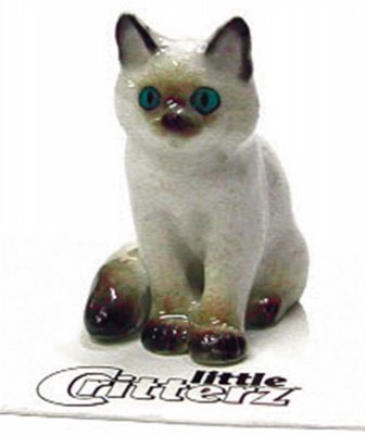 Ragdoll kitten miniatyr porslinsfigur Samantha