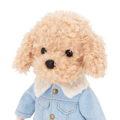 Lucky Sammy Fashionable Boy docka med ram inuti - maltipoo