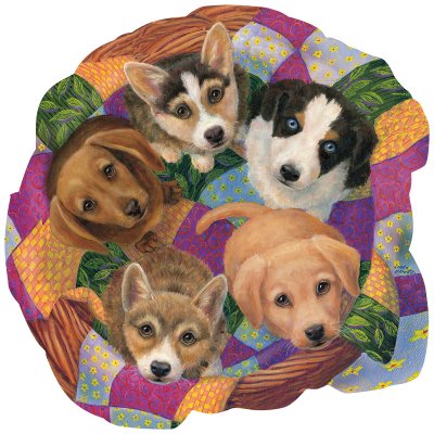Litter of Puppies pussel 750 bitar SunsOut