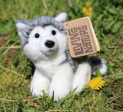Siberian husky mjukisdjur
