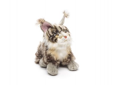 Katt mjukisdjur Maine Coon 25 cm UNI x